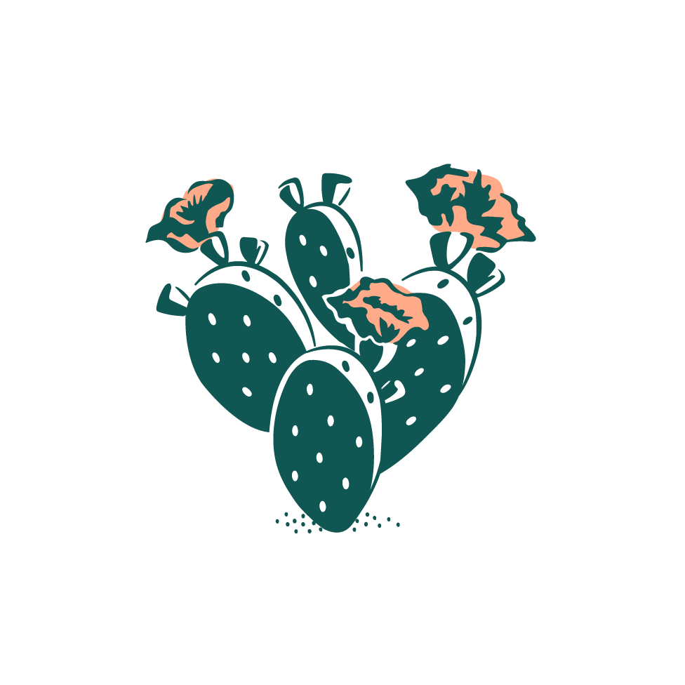 Cactus logo